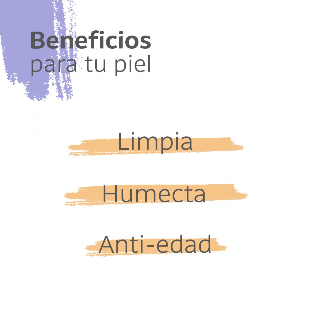 Jabón Líquido Humectante para Manos con Extracto de Ciruela, Zarzamora y Proteína de Arroz